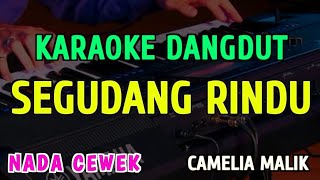 SEGUDANG RINDU || KARAOKE NADA CEWEK || DANGDUT ORIGINAL ~ CAMELIA MALIK
