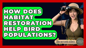 How Does Habitat Restoration Help Bird Populations? - Bird Watching Diaries