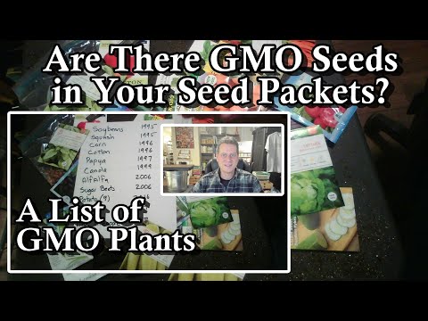 Video: Informacija apie GMO sėklas – kurios sėklos yra GMO arba genetiškai modifikuoti organizmai