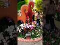 Đường hoa Nguyễn Huệ - phần 6 #vietnam #travel #tour #shortvideo #short #viral #duonghoanguyenhue