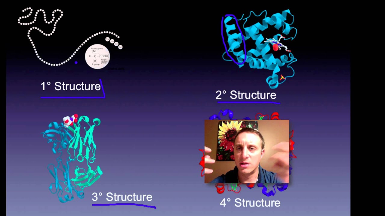 BioMolecules YouTube