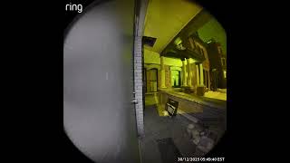 Mail thief  steals neighbour's mail, seems confused. Pt2 The Package Return
