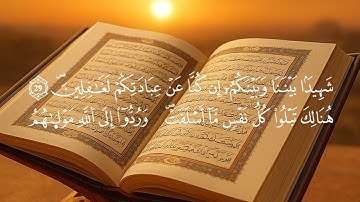 تلاوة مؤثرة تبكي القلوب | سورة يس كاملة بصوت خاشع وهادئ 🌿"