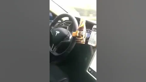 Tesla autopilot特斯拉自动驾驶再遇车祸！ - 天天要闻