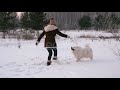Young Girl Playing With a Dog In Winter Park