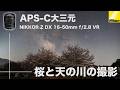 Nikon Z50II に最適！APS-C用大三元ズームレンズ NIKKOR Z DX 16-50mm f/2.8 VR で桜と天の川撮ってみた(レビュー)