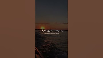 رب المشرق والمغرب لا اله الا هو فاتخذه وكيلا ، بصوت القارئ  انس حسن البرقي