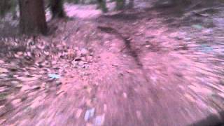 Gary Following Parry Track 1 Top Section