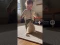 赤ちゃんを支える優しい子猫🐱 | #shorts #animals #baby
