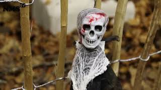 Neumünster Belediyesinin Düzenlediği Korku Ve Eğlence Dolu Halloween Programı. Girişler Ücretsizdir
