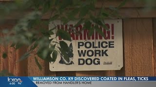 Williamson Co. K9 discovered coated in fleas, ticks