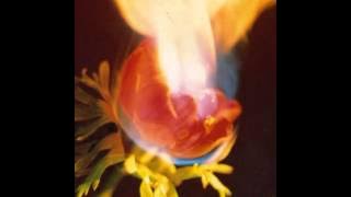 Adorable - Sunshine Smile