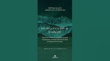 تلاوة مباركة بصوت الشيخ أحمد عيسي المعصراوي  سورة الجاثية#مصحف #القرآن_الكريم #احمد_عيسي_المعصراوي