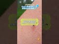 【🤯 放蚊子滅蚊子?】🦟🚨Google滅蚊計畫正在審查中,準備釋放3200萬隻蚊子!|機智的北美生活0601