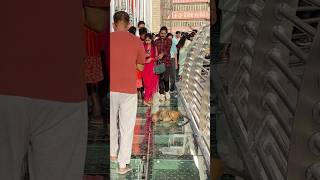 Lakshman Setu Rishikesh | Bajrang Setu Rishikesh😍😂 #arjunsmartvlogs #rishikesh #minivlog