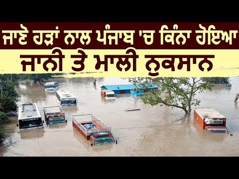 Exclusive: जानिए Flood से Punjab में कितना हुआ जानी और माली नुकसान