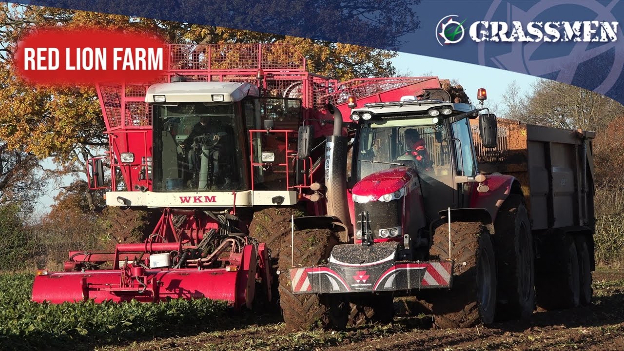 Red Lion Farm YouTube