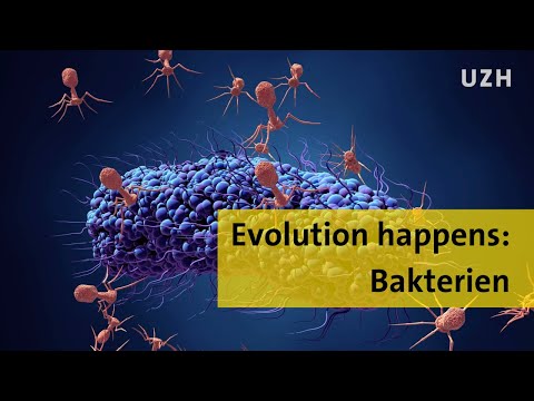 Video: Warum brauchen Bakterien Flagellen?