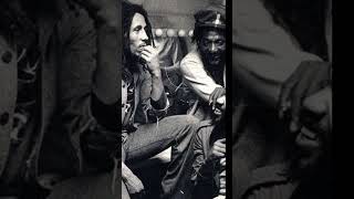 (FREE) REGGAE BOB MARLEY X SKIP MARLEY TYPE BEAT "Sunstruck" #bobmarley #typebeat #skipmarley