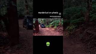 Wanderlust on wheels #forest #nature #4x4 #4x4offroad #offroad #naturelovers #forestride