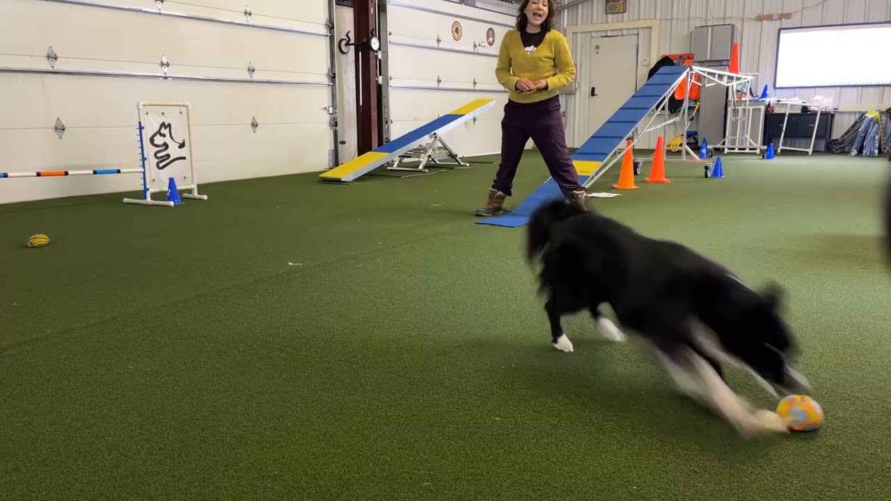 Mia soft turns 02152026