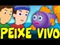 Peixe vivo - 33 Minutos de Música Infantil - Canções Populares