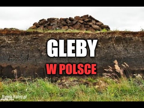 Wideo: Jakie Są Gleby W Regionie Moskiewskim