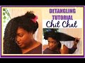 HOW I DETANGLE MY NATURAL HAIR IN ADVANCE FOR WASH DAY NeziNapps