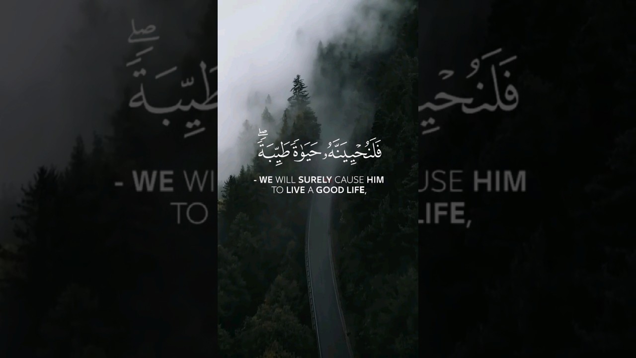 Surah-Al-Nahl With English Translation -By Abdul Rahman Mossad