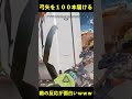 的に弓矢100本届けたら面白すぎたwww|Apex Legends #short
