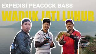 EKSPEDISI PEACOCK BASS JATILUHUR