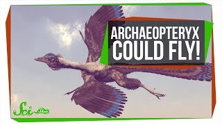 The First Known Bird Could Fly, But Super Awkwardly