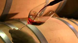 Vino clásico rioja para beber todos los días
