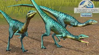 COMPSOGNATHUS NUEVO DINOSAURIO GANA TODAS LAS BATALLAS! dinosaurio inmortal Jurassic World El Juego