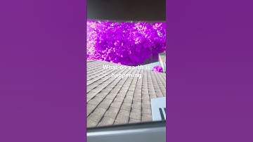 Is the world turning pink