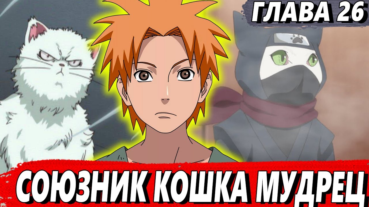 [Шинигами на полставки #26] - Союзник кошка мудрец - Альтернативный ...