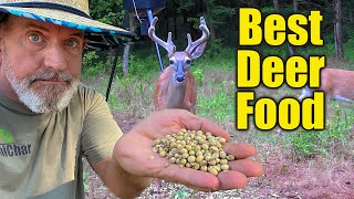 #1 Deer Food - Planting Food Plots - Creating Deer Haven