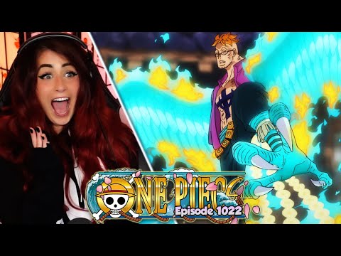 ANOTHER HIGH QUALITY BANGER! - One Piece Episode 1022 REACTION 