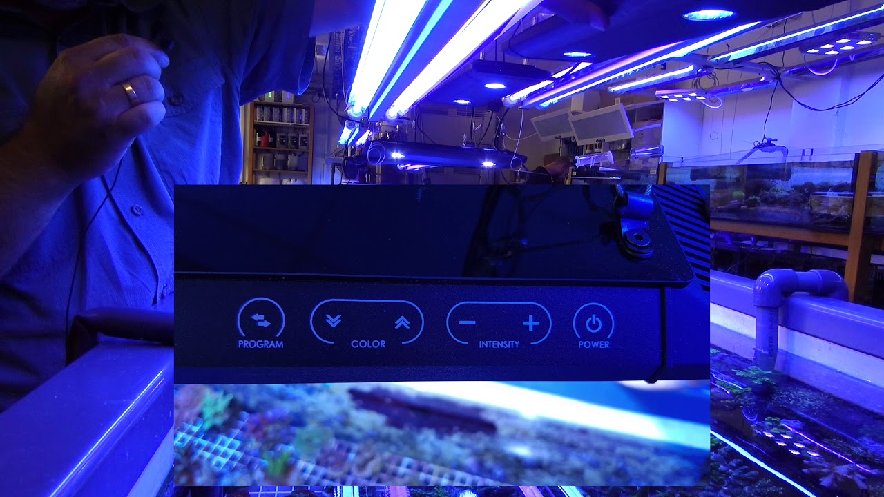 faunamarin kessil ap700 led leuchte youtube