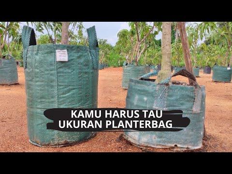 Video: Berapa Liter tanah dalam beg pukal?