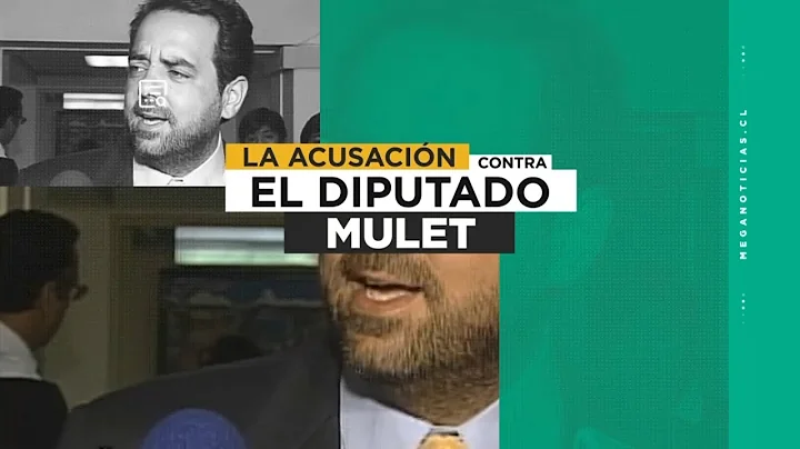 Las pruebas contra el diputado Mulet en investigac...