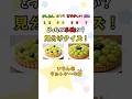 【この画像どっちが本物？】いろんなタルトケーキ編 #shorts #絶品 #スイーツ動画