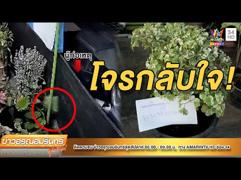 ผลสลากกินแบ่งรัฐบาล วันที่ 1 พย. 2567 ผลสลากกินแบ่งรัฐบาล วันที่ 1 พย. 2567