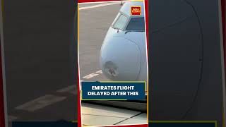 Emirates Flight EK 517 From Delhi To Dubai Delayed After Bird Strike #shorts