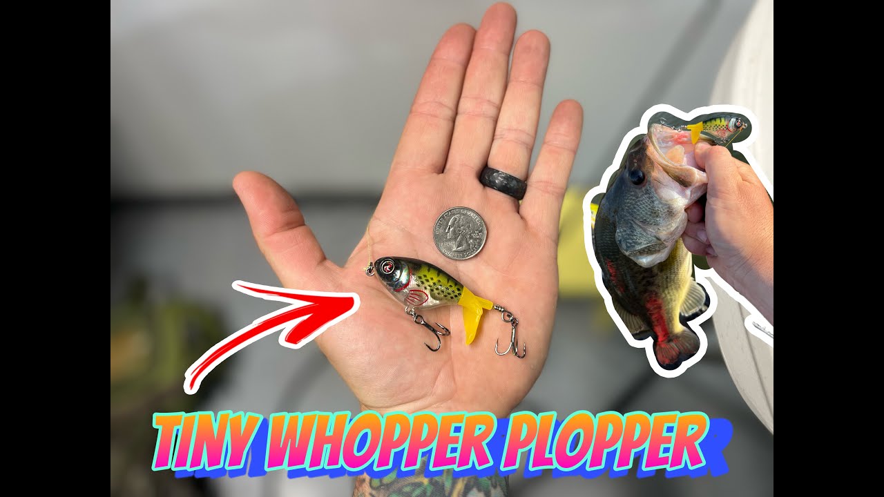 Bass Fishing With Tiny Lures [The Whopper Plopper 60] 