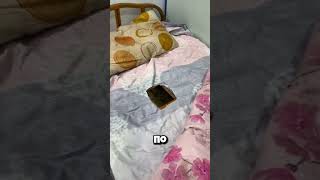 Инженерная депрессия