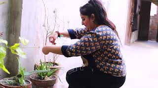 Afreen Khan 2 Vlog Video آفین خان نے لگایا پودوں کو پانی