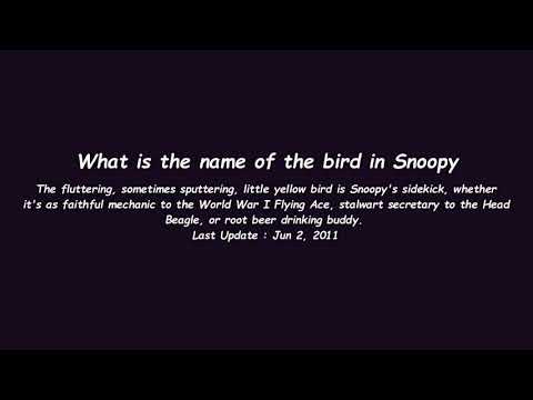 Name Of Bird In Snoopy