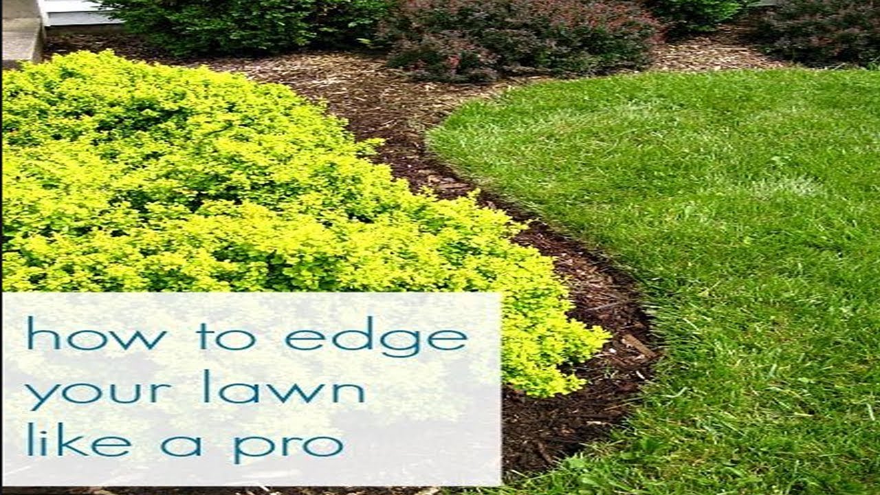 How To Edge Your Lawn Like A Pro Youtube