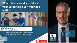 Test To Know If Your Dog Is Epi